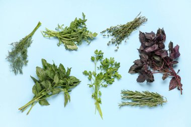 Renkli arka planda farklı taze otlar içeren çeşitlilik