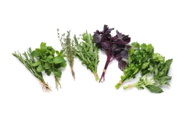 Beyaz arka planda izole edilmiş taze otlar.