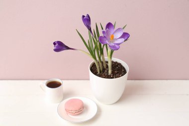 Güzel güveç çiçekleri, bir fincan kahve ve bej duvarın yanındaki masada lezzetli bir badem kurabiyesi.