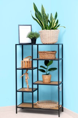 Raf ünitesi ve mavi duvarın yanındaki oda.