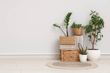 Kitaplarla dolu sepetler ve ışık duvarının yanında yeşil bitkiler.