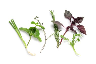 Beyaz arka planda izole edilmiş farklı taze otlarla kompozisyon
