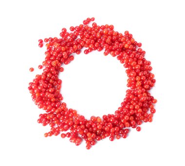 Beyaz arka planda taze viburnum üzümlerinden yapılmış çerçeve