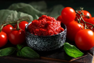 Fesleğen yapraklı ve sebzeli bir kase lezzetli domates ezmesi, yakın plan.