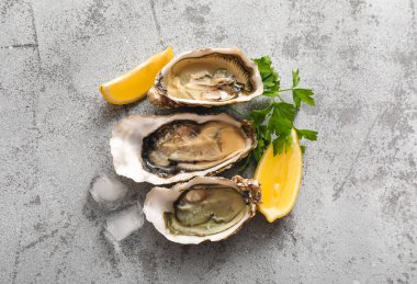 Limonlu taze istiridye, maydanoz ve gri arka planda buz küpleri.