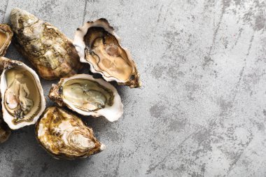 Gri arka planda lezzetli taze istiridyeler.