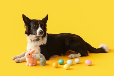 Sarı arka planda Paskalya yumurtası ve oyuncak tavşanlı şirin Sınır Köpeği Collie.