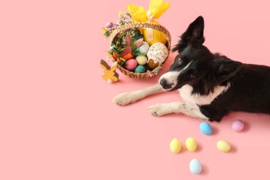 Paskalya sepetli şirin bir Collie köpeği ve pembe arka planda yumurtalar.