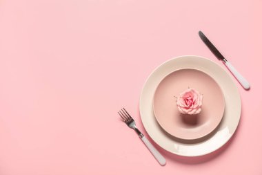 Sevgililer Günü için güzel bir masa. Pembe arka planda gül çiçeği.