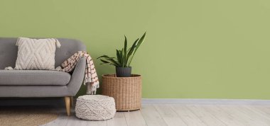 Yeşil duvarın yanında rahat kanepe, puf ve çiçekli şık bir oturma odası. Tasarım için pankart