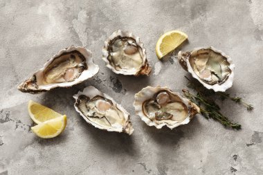 Gri arka planda kekik ve limonlu lezzetli taze istiridyeler.