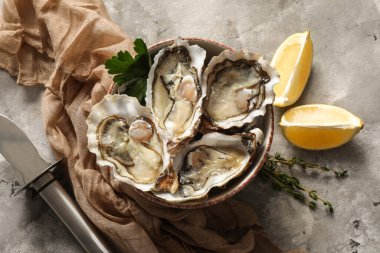 Lezzetli taze istiridye ve gri arka planda limon kâsesi.