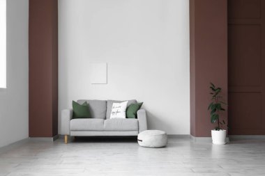 İçinde kanepe, puf ve bitki olan büyük bir oda.