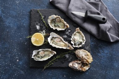 Lezzetli taze istiridyeli siyah tahta, mavi arka planda kekik ve limon.