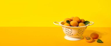 Sarı zemin üzerinde olgun kayısıları ve metin için yeri olan Colander