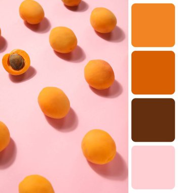 Pembe arka planda olgun kayısılar. Farklı renk desenleri