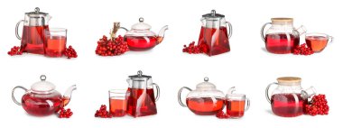 Beyaz arka planda sağlıklı viburnum çayı.