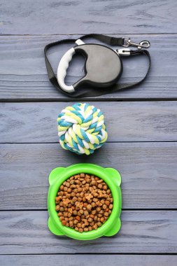 Bir kase kuru hayvan maması, tasma ve oyuncak renkli ahşap arka planda.