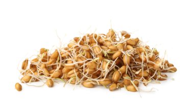 Beyaz arkaplanda filizlenmiş buğday yığını