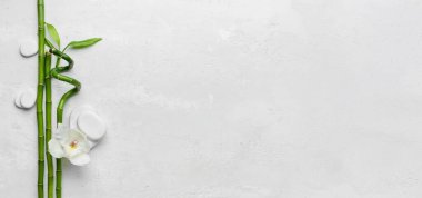 Beyaz zemin üzerinde Bambu dalları, çiçek ve spa taşları ve metin için boşluk