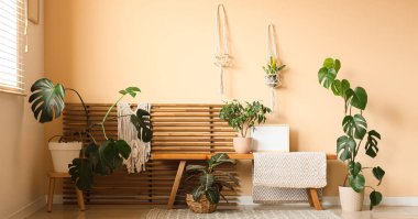 Odanın içinde ahşap bank ve yeşil bitkiler var.