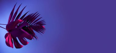 Mor arkaplan üzerinde neon tropikal yapraklar ve metin için boşluk