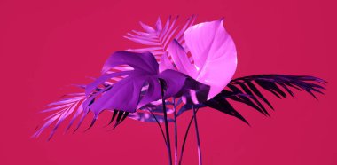 Kırmızı arkaplanda neon tropikal yapraklar