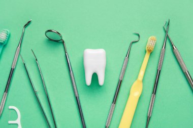 Diş modelleri, diş aletleri ve yeşil arka planda diş fırçaları. Dünya Diş Hekimi Günü