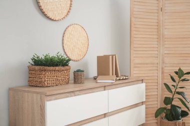 Oturma odasında klozet üzerine kitapları olan bitkiler.