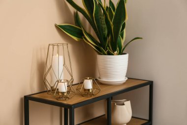 Evdeki bej duvarın yanındaki raf ünitesinde şık mumlar ve ev bitkisi.