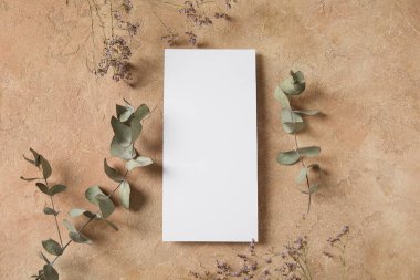 Okaliptüs dalları ve bej grunge arka planda kurumuş çiçekli boş kart.