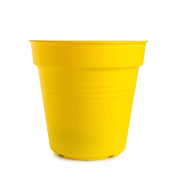 Beyaz arkaplanda sarı saksı