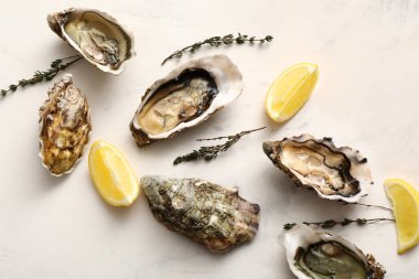 Beyaz arka planda kekik ve limon bulunan lezzetli taze istiridyeler.