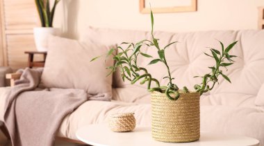 Oturma odasındaki masada bambu saplı hasır sepet.