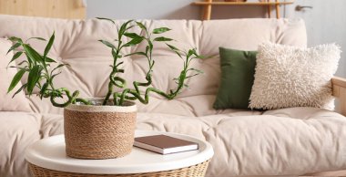 Bambu sapları açık oturma odasındaki kahve masasının üzerinde.