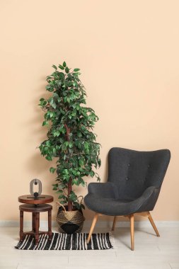 Koyu gri koltuk, küçük kahve masası, ev bitkisi ve halı, bej duvarın yanında.