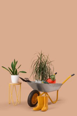 Bahçecilik malzemeleri seti ve bej arka planda el arabası.
