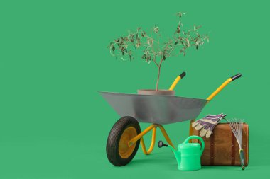 Bitki, bahçe malzemeleri ve yeşil arka planda el arabası.