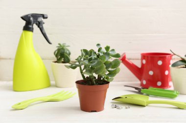 Masada beyaz arkaplana karşı bitki ve bahçe araçları