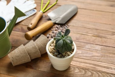 Ahşap arka planda sulu ve bahçe aletleri