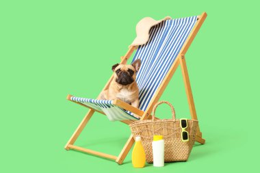 Yeşil arka planda güneş kremi, çanta, güneş gözlüğü ve şezlonga sahip şirin bir Fransız bulldog.