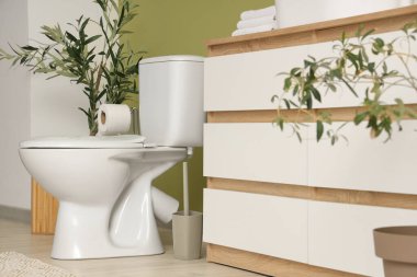 Büyük tuvaleti, klozeti ve dekoratif zeytin ağacı olan modern banyonun içi.