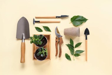 Bej arka planda kürek, budama ve turba kabı olan bahçe aletleri. Üst görünüm