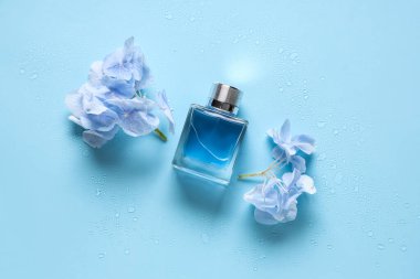 Mavi arka planda bir şişe parfüm ve ortanca çiçeği.
