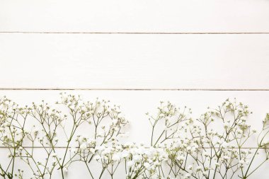 Beyaz ahşap arka planda güzel çigila çiçekleri olan kompozisyon