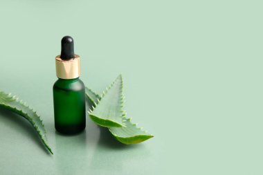 Yeşil arka planda aloe vera yapraklı bir şişe kozmetik yağı.