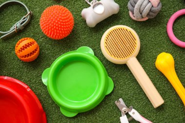 Gıda kaseleri ve yeşil çimlerde farklı hayvan aksesuarları.