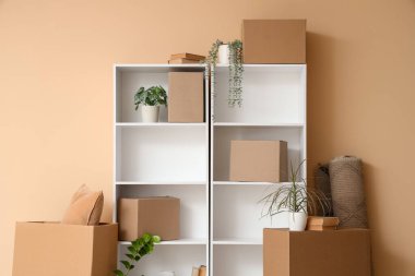 Odada bej duvarın yanındaki raflarda bitkiler ve kutular var.