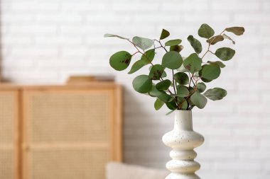 Odanın içinde okaliptüs dalları olan vazo, yakın plan.