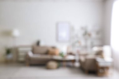 Gri kanepeler, raf ünitesi ve bitkilerle aydınlık oturma odasının bulanık görüntüsü